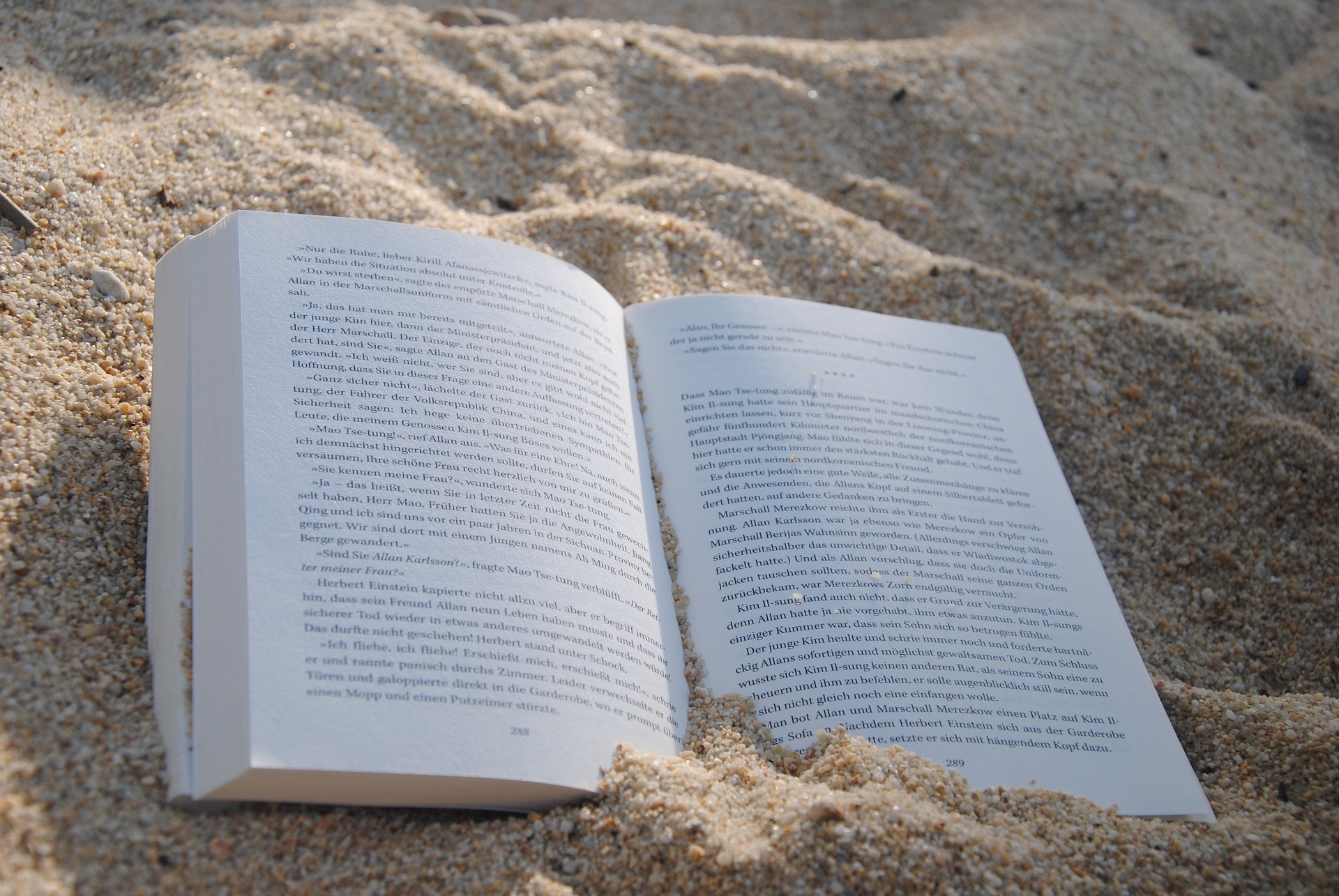 Read more about the article Lectura de vacanță